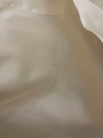 Sheets stained and torn, hairs in both beds.