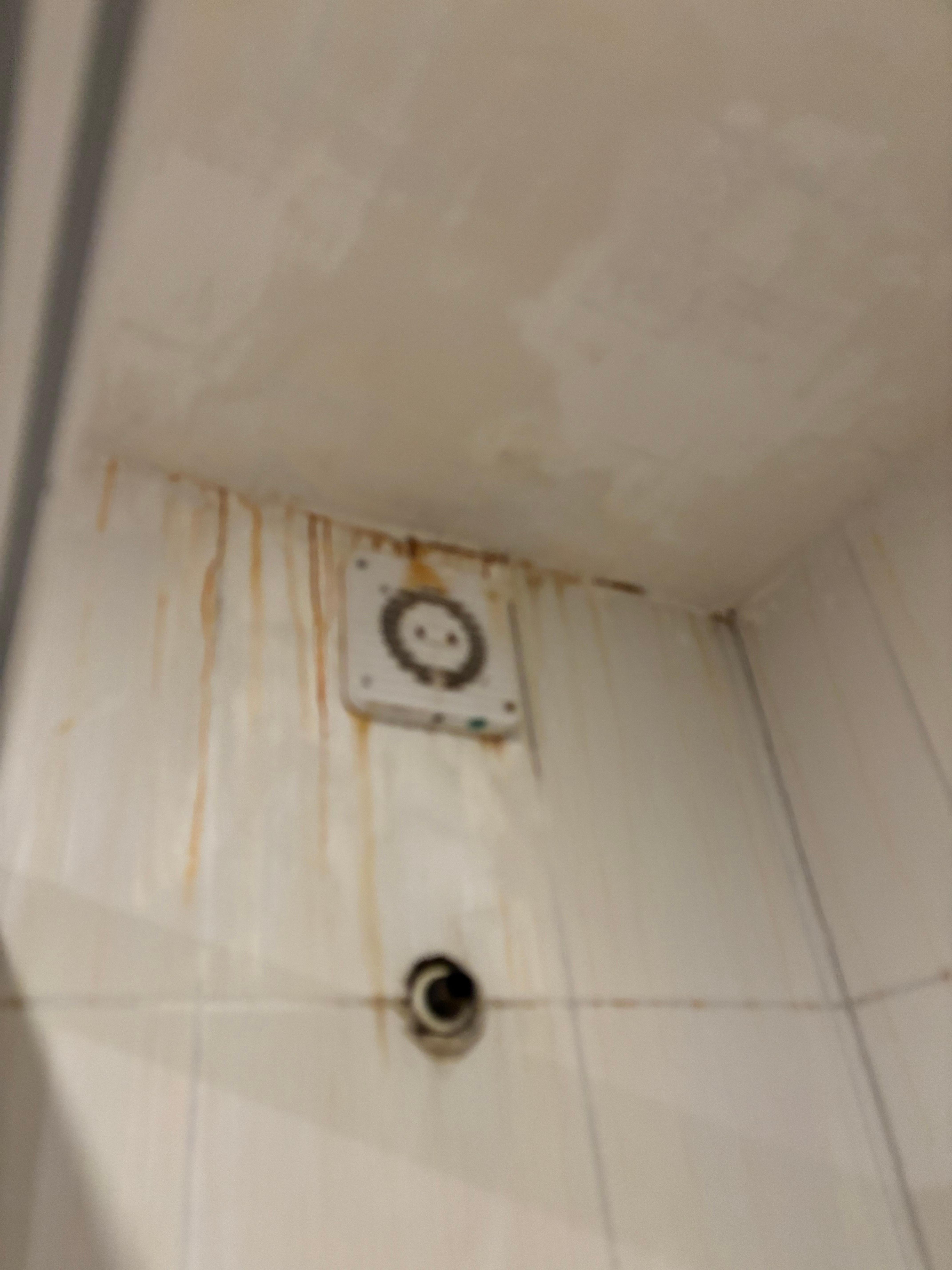 Salle de bain insalubre 