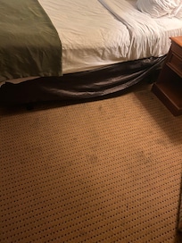 Stained carpet- the entire room was like this