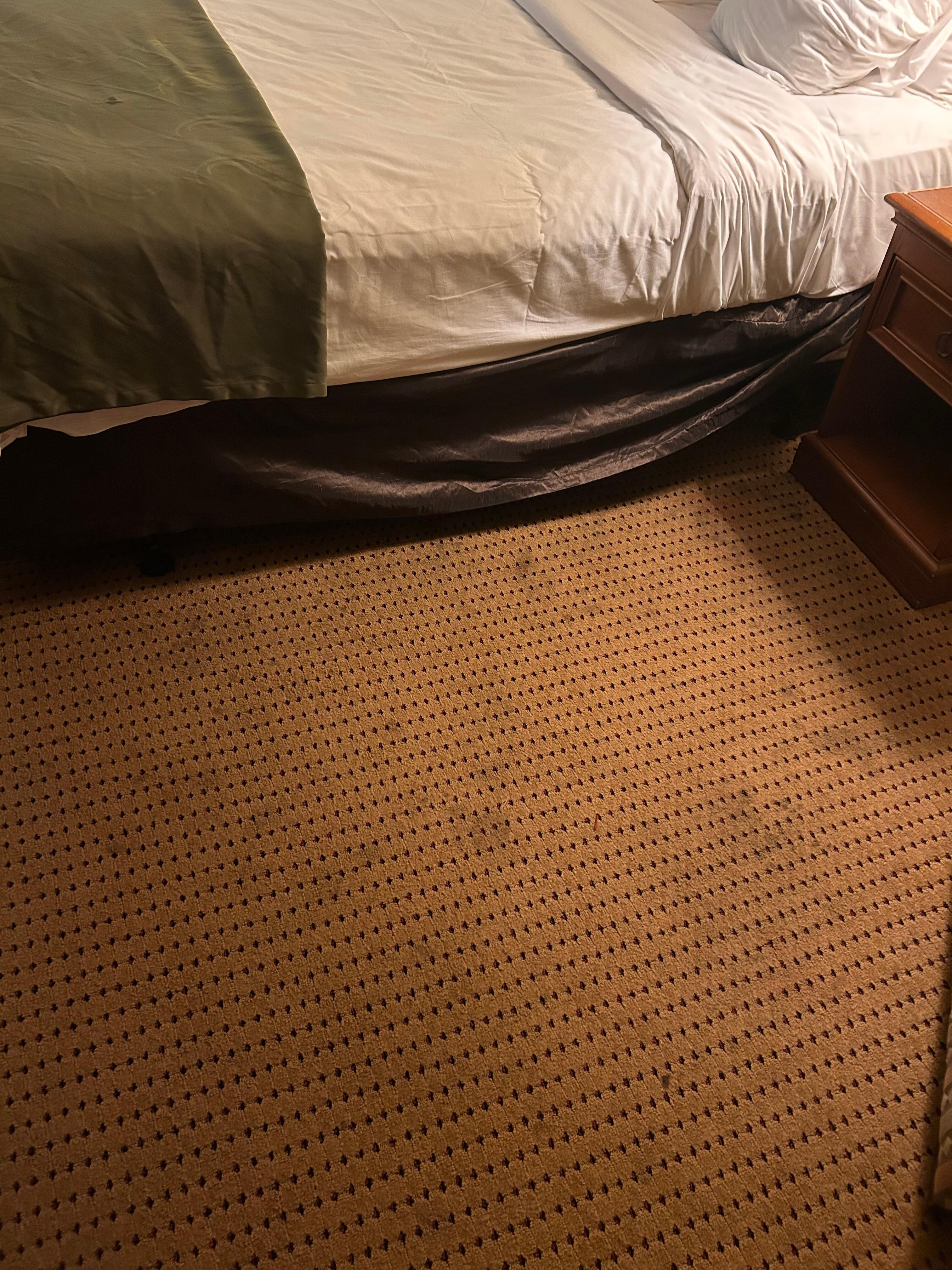 Stained carpet- the entire room was like this