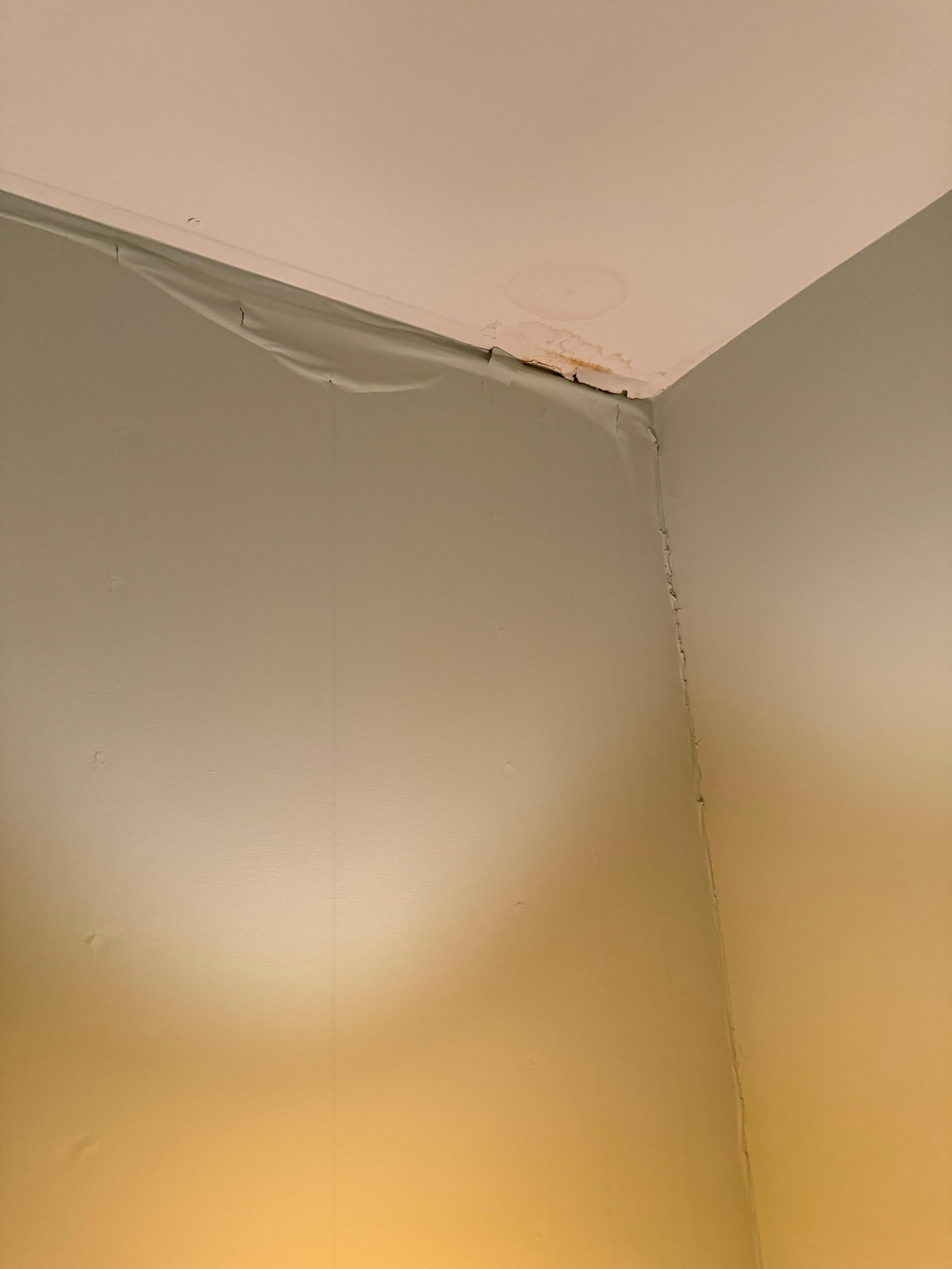 Dampness issues obvious from saying paint in corners