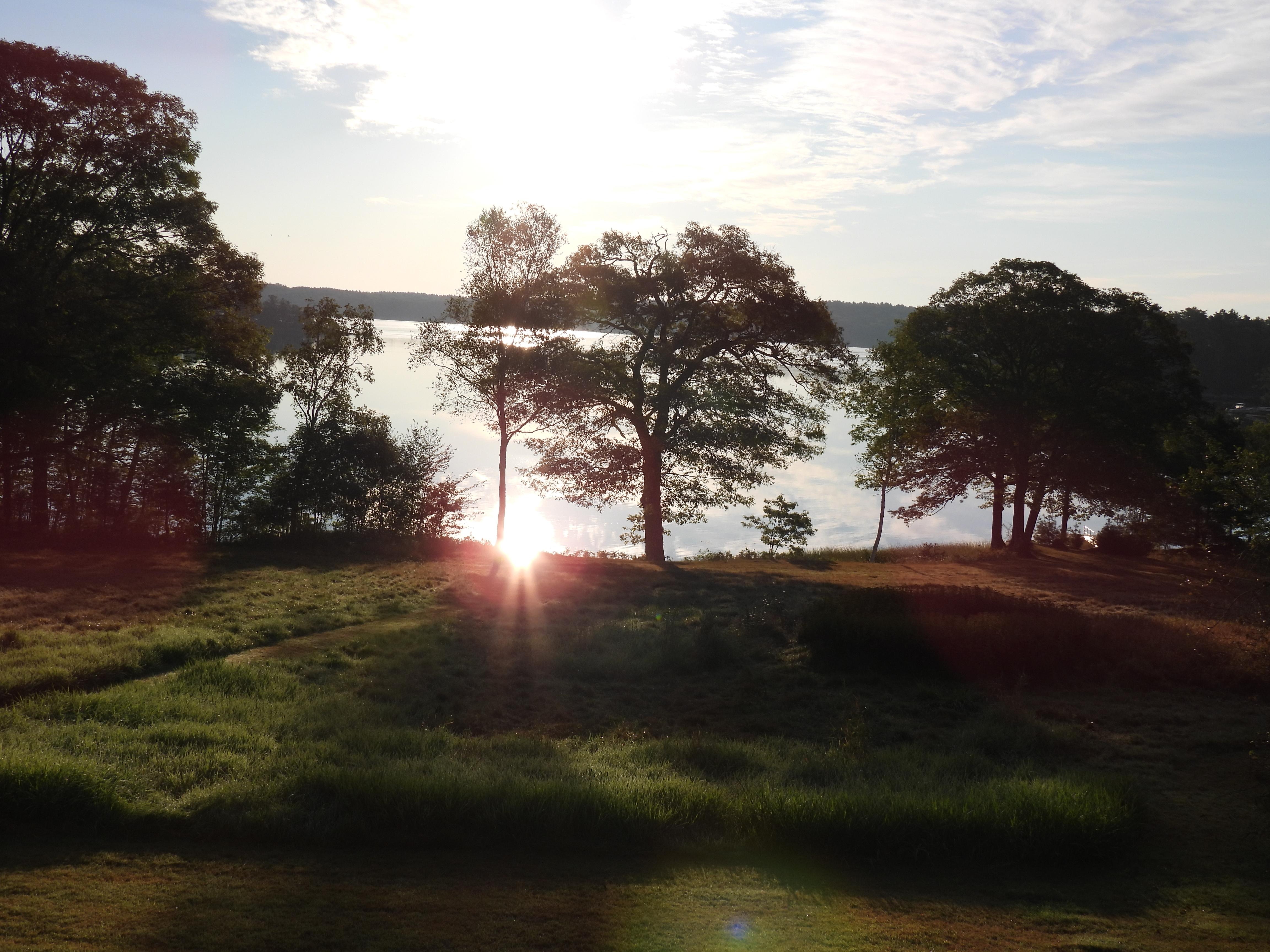 View from the back porch.