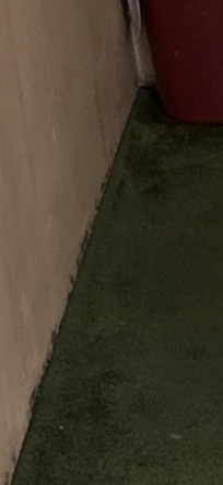 Bottom level after hot water spray leak