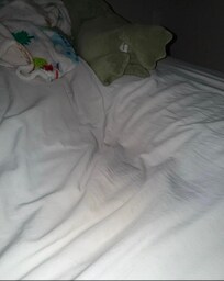 Divit in bed...was there even after 40min of no one being in the bed