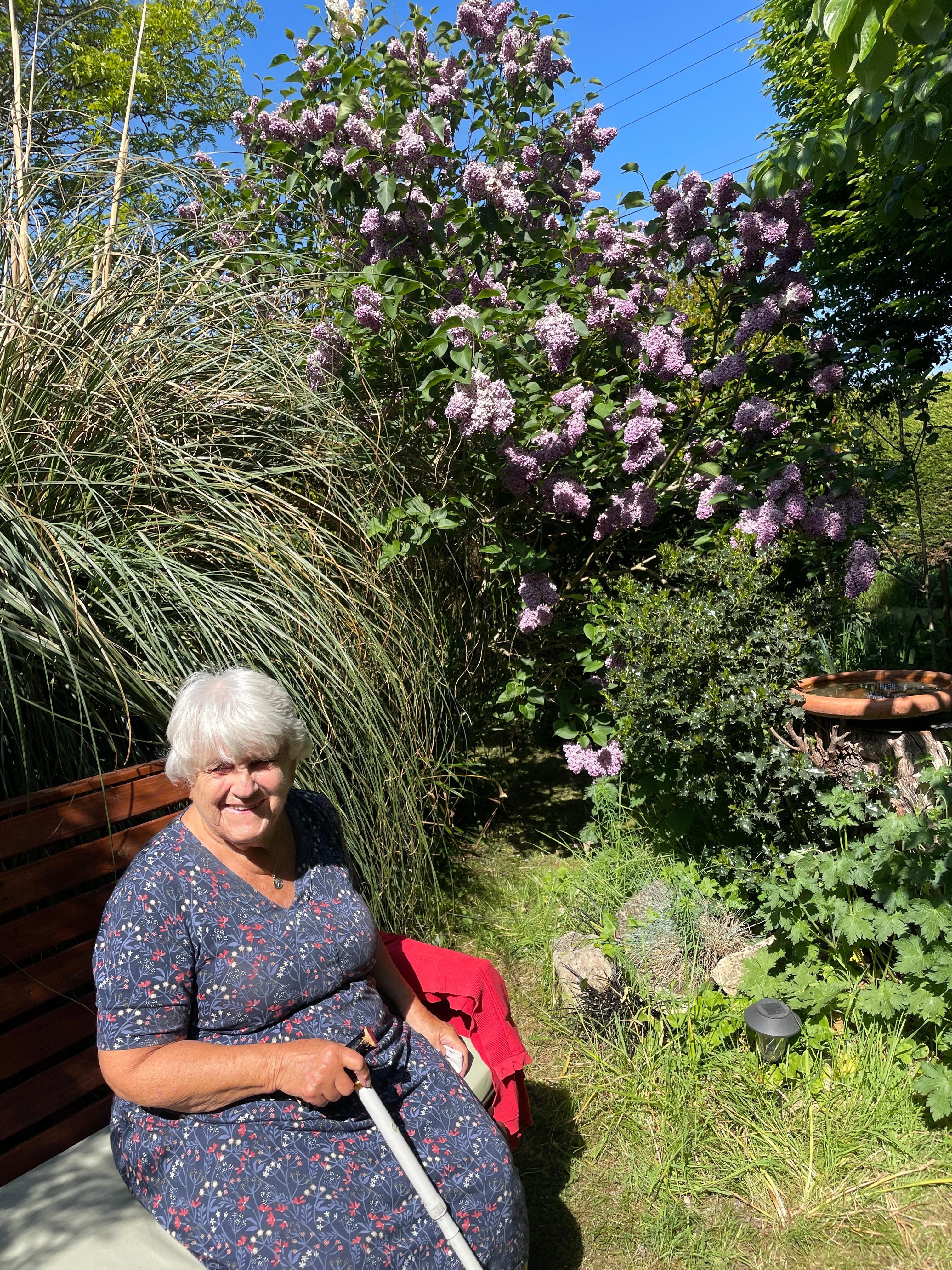 In the garden