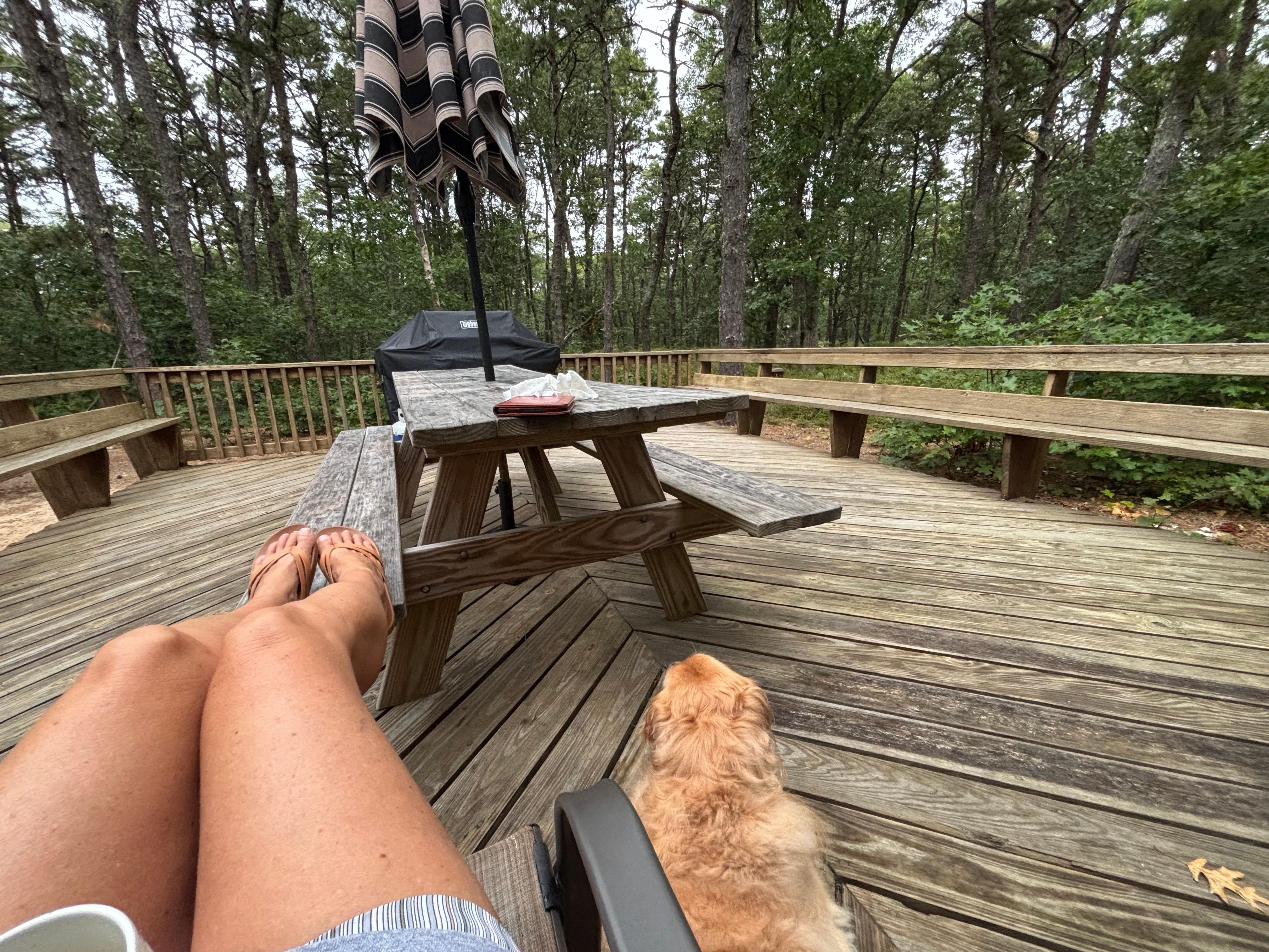 lovely private and quiet back deck/yard