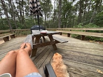 lovely private and quiet back deck/yard