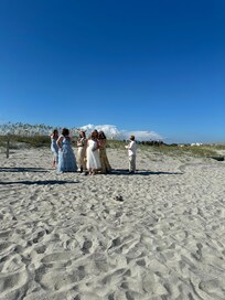 The bride et al.