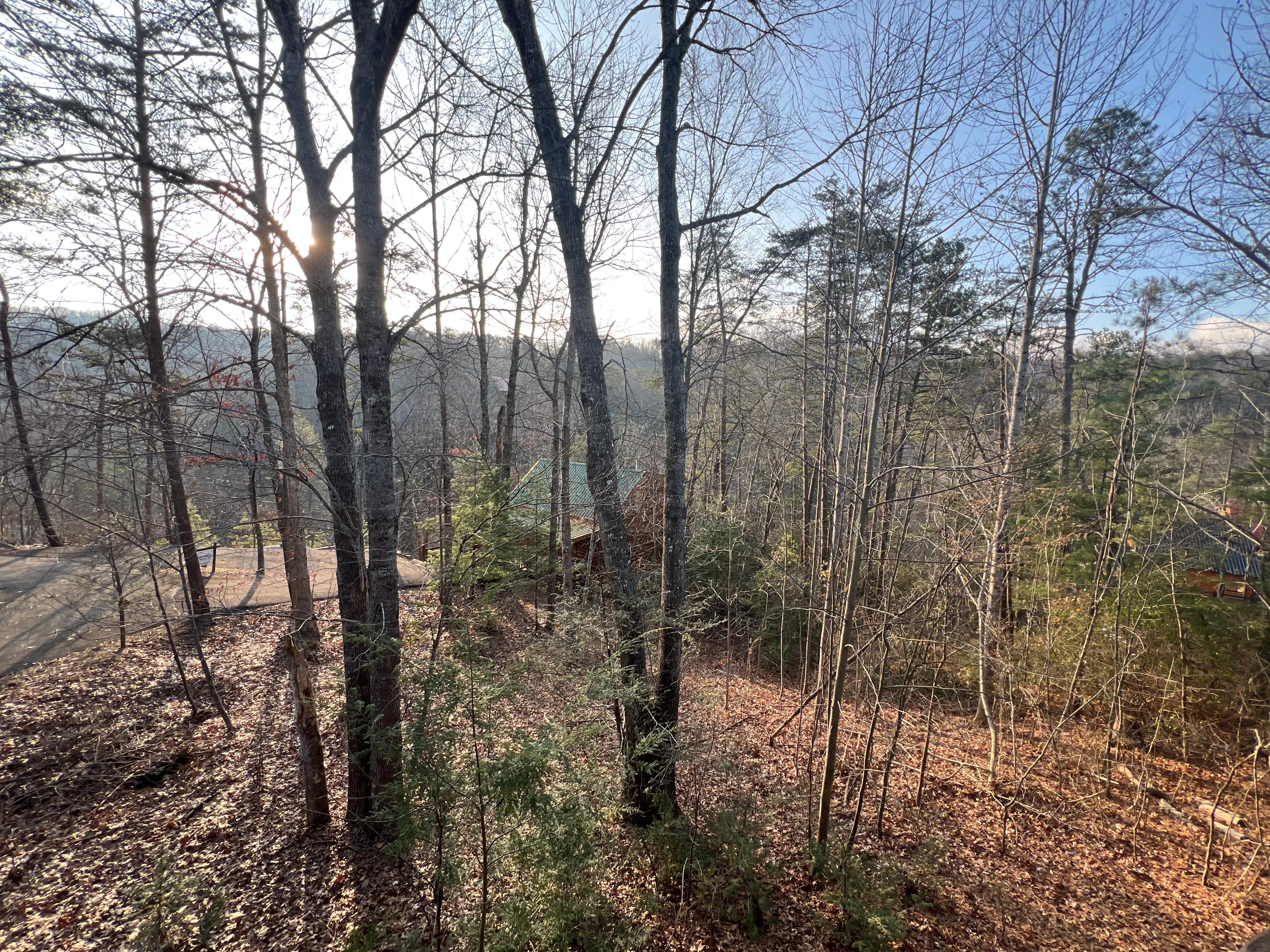 View from back porch. 