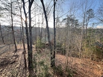 View from back porch.