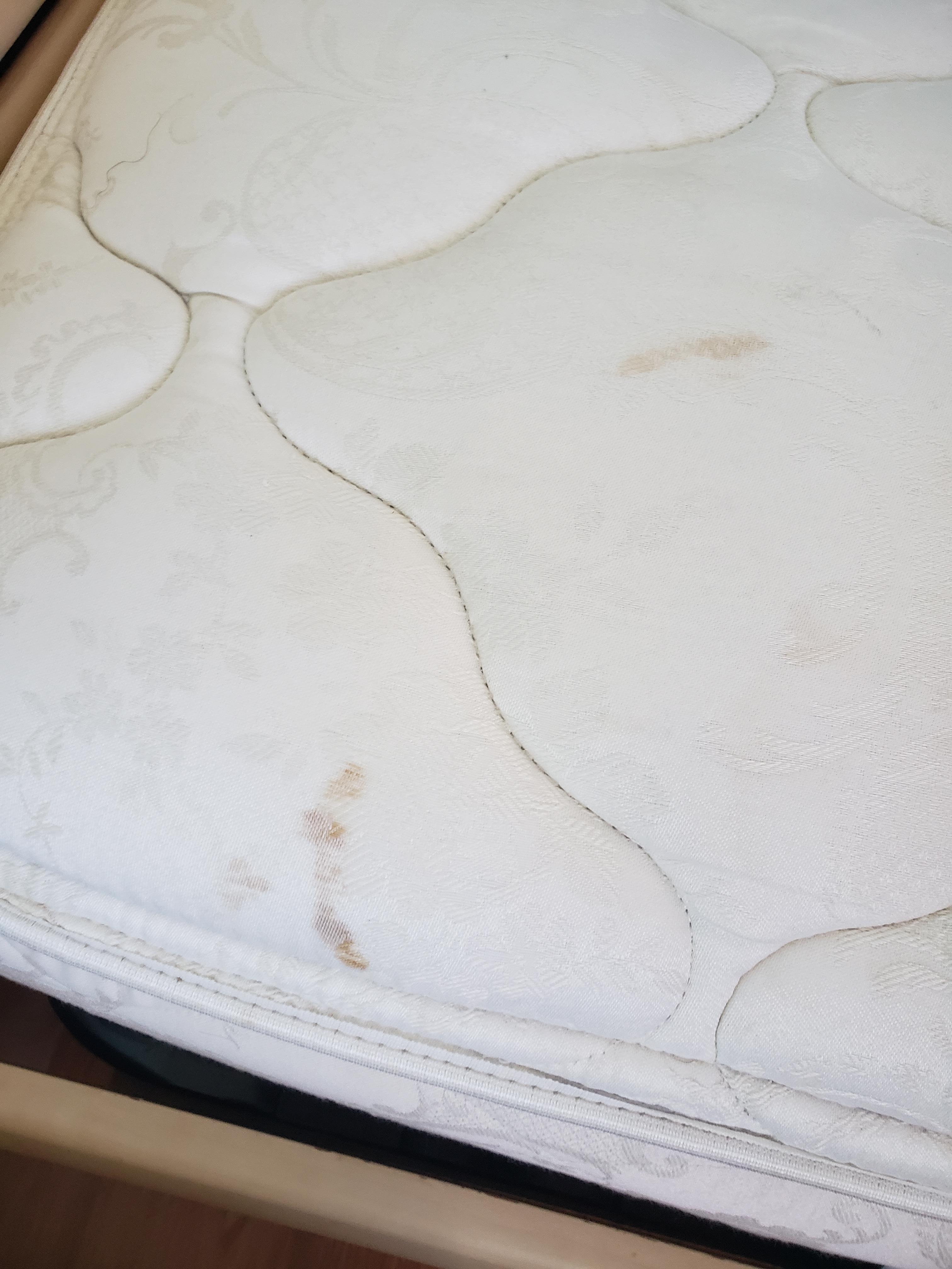 Bloody mattress, sheets and pillows