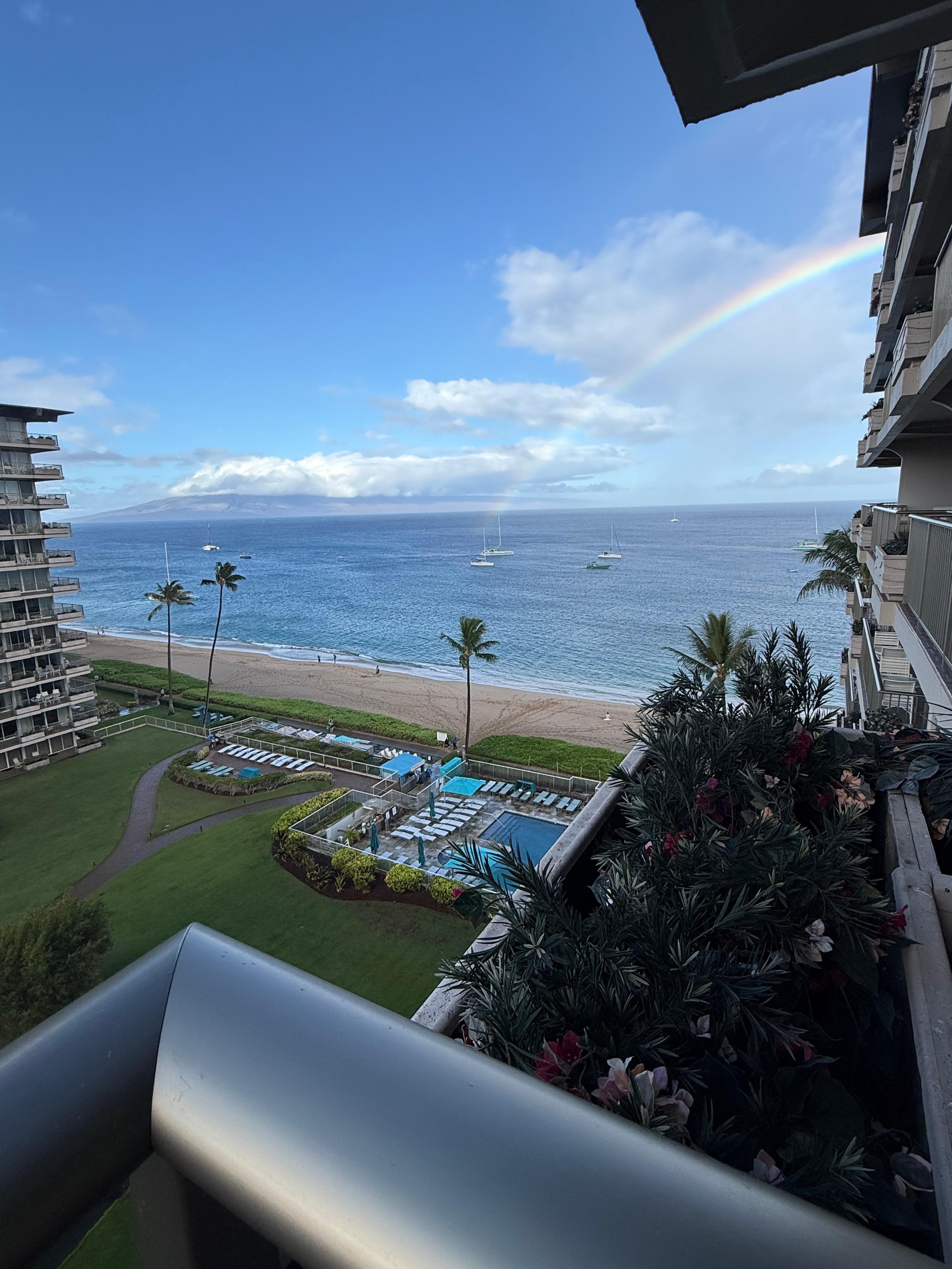 View from my studio condo. 