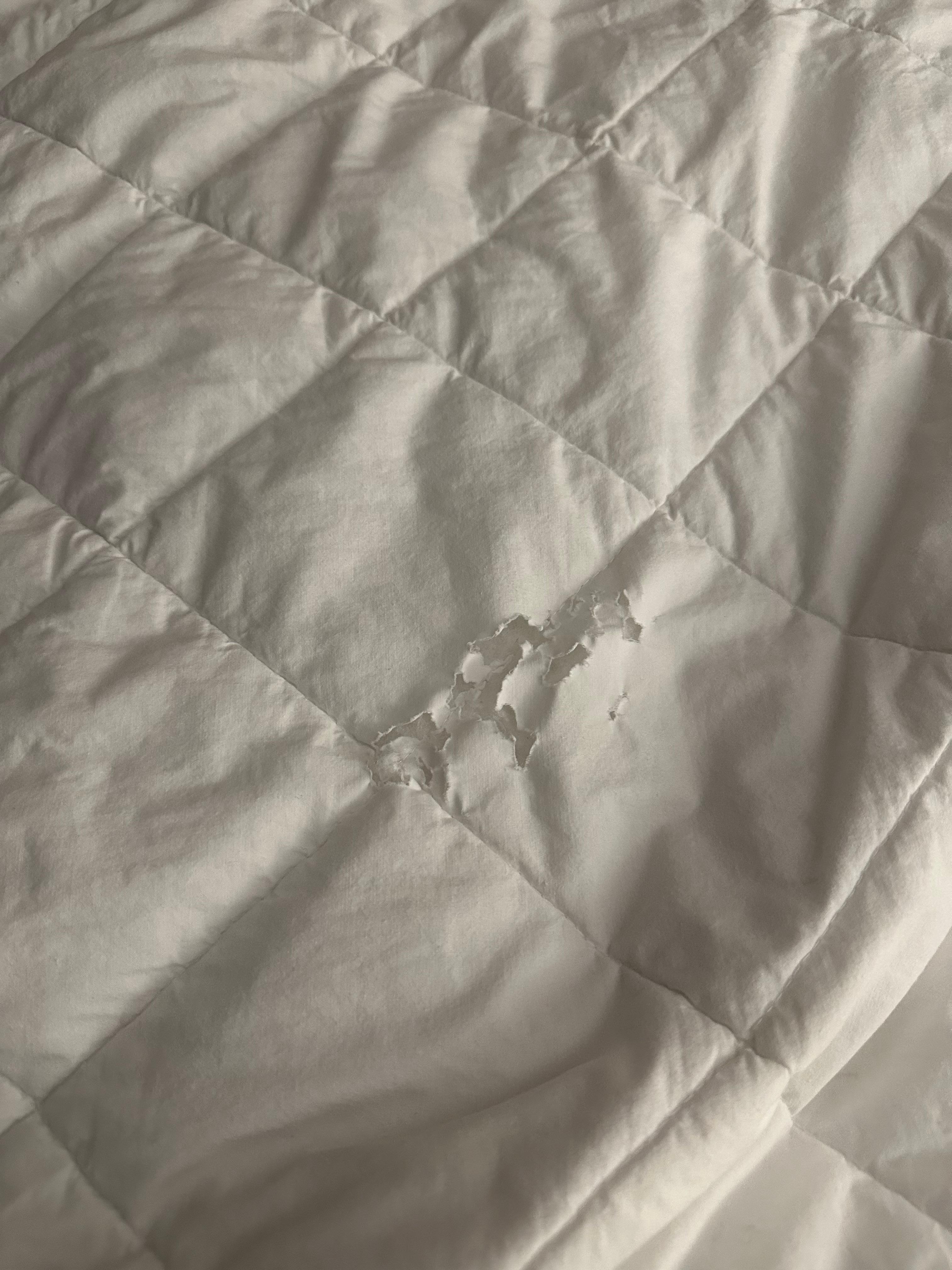 Torn replacement blanket