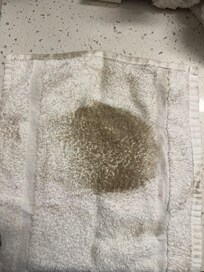 Rag from wiping water off the floor