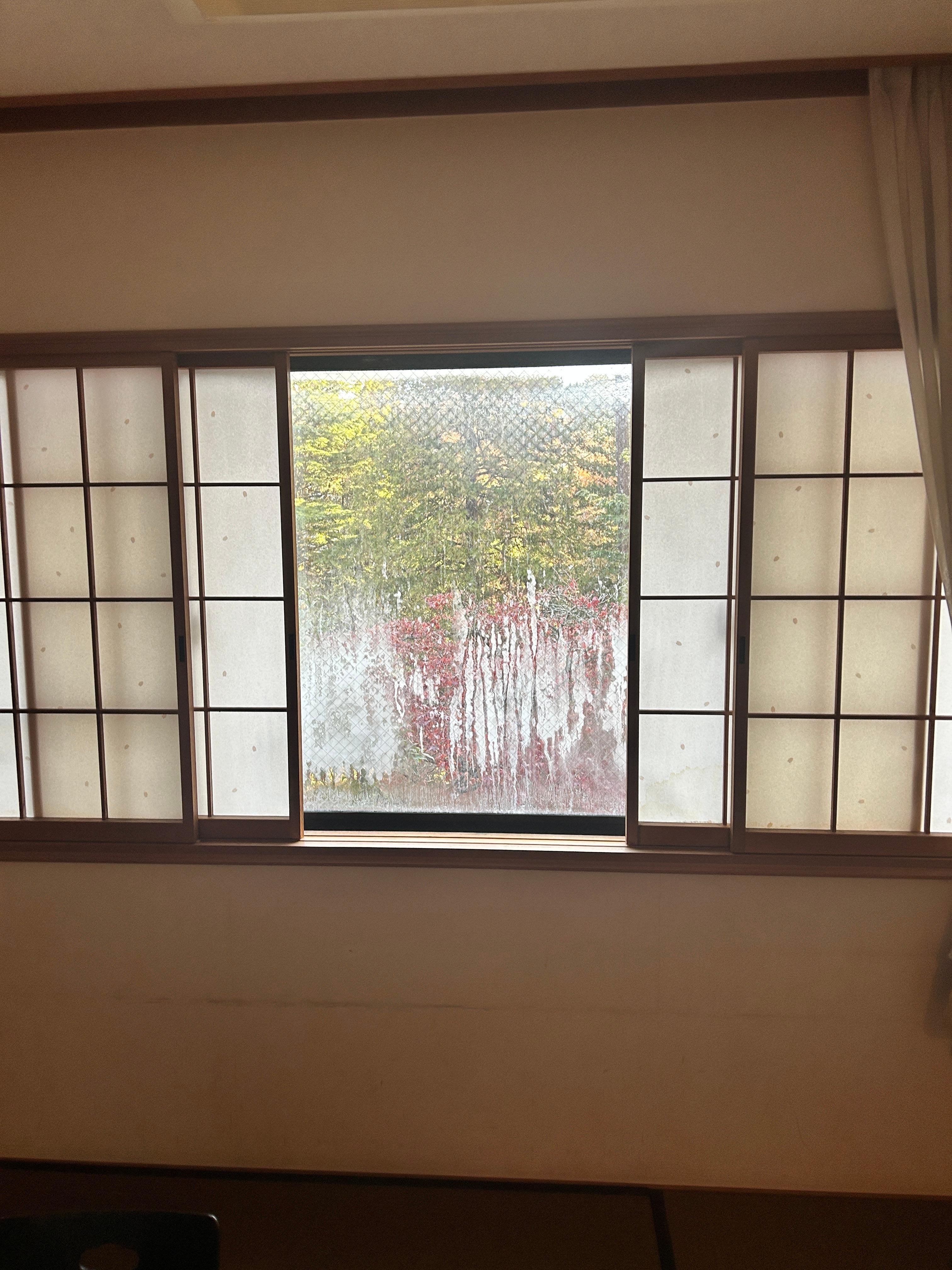 Window and view from our room.