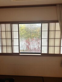 Window and view from our room.