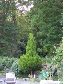 Det "lille hamsterhus" på baksidan