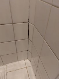 Grouting needs a good scrub.