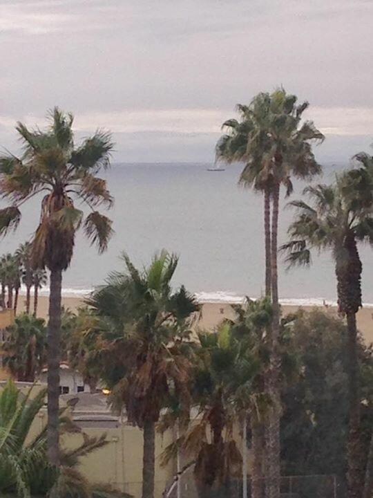 My room window view