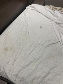 Had weird stains some looked like urine stains