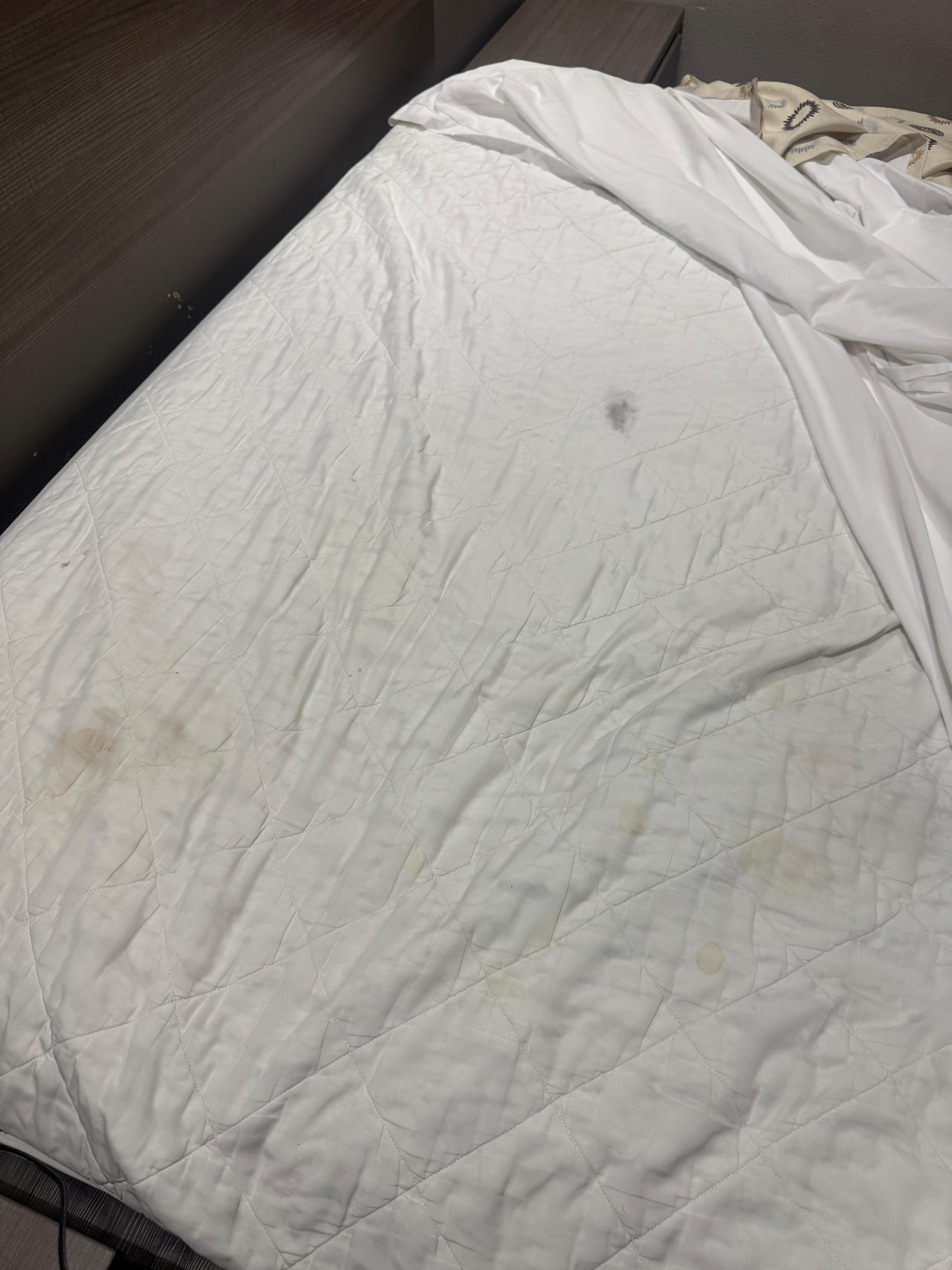 Had weird stains some looked like urine stains 