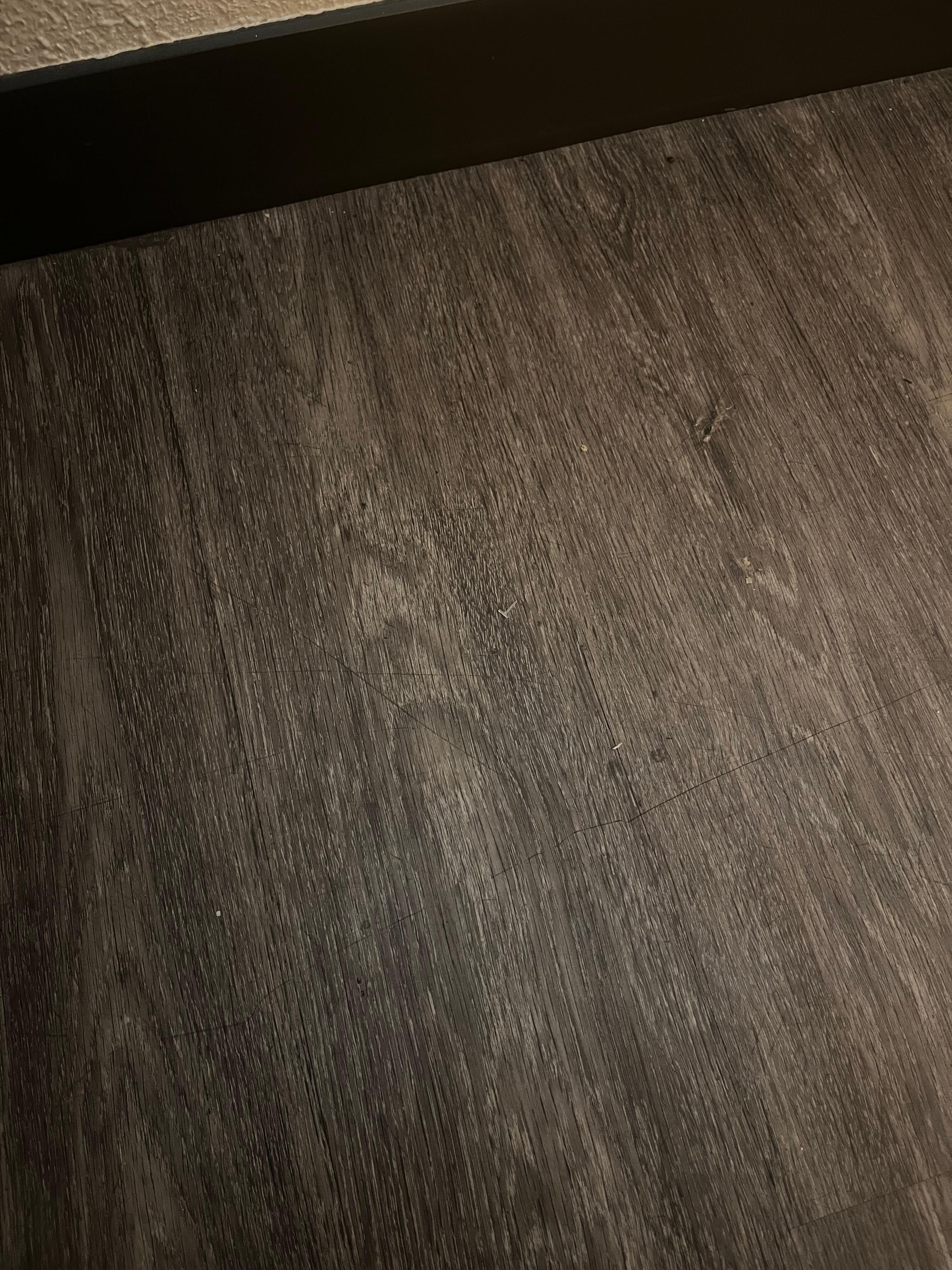 Floor of the room had debris and dust