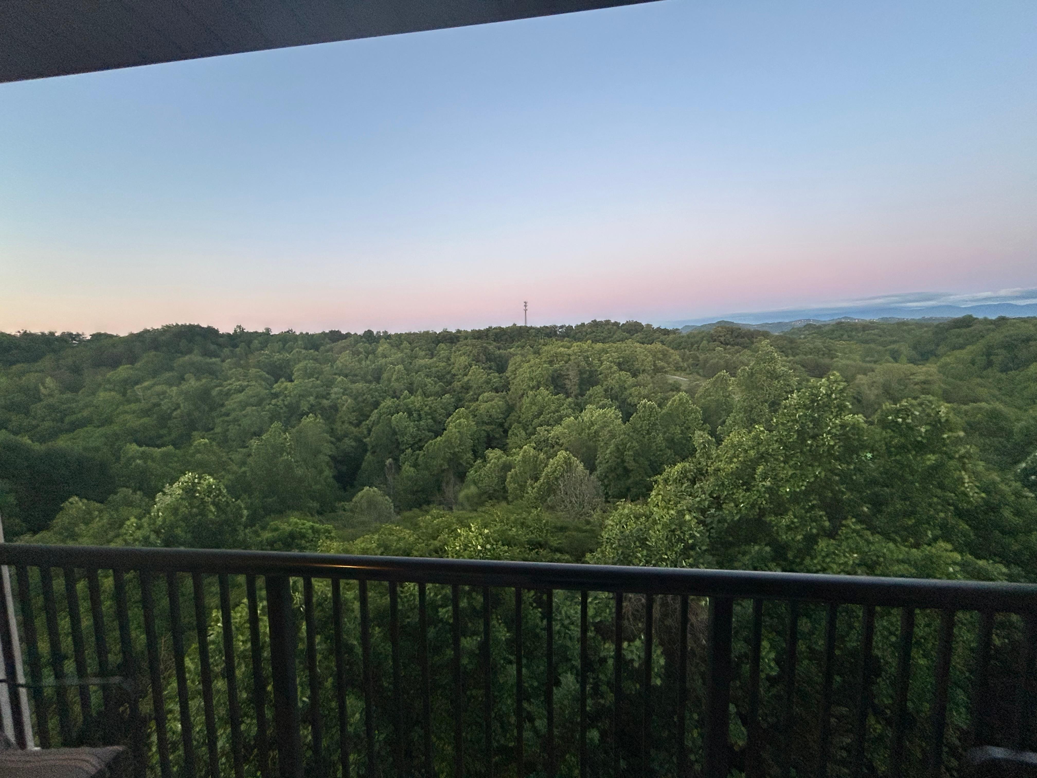 View from the room