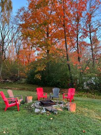 Backyard beauty