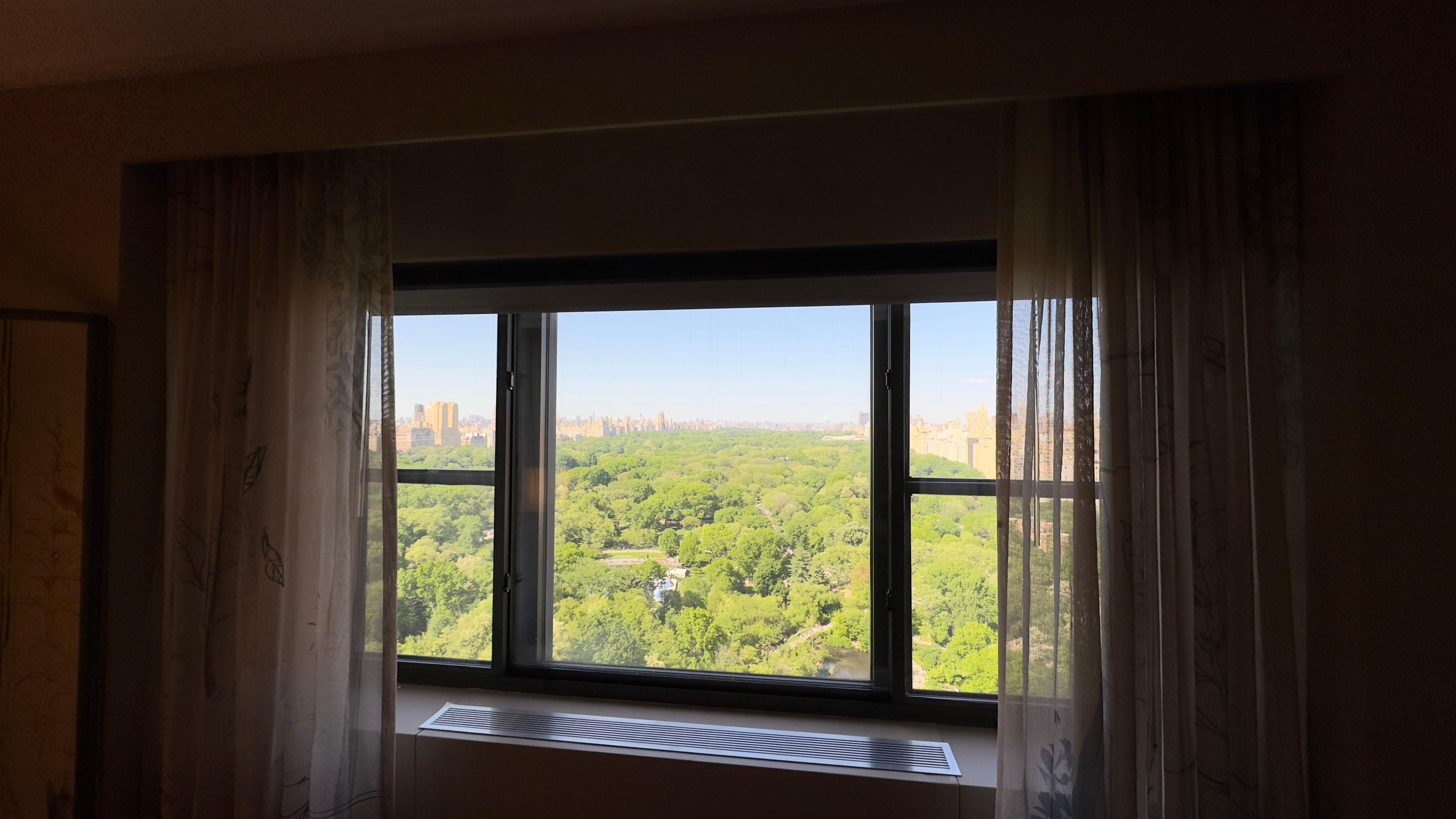 Crazy good view of the park!