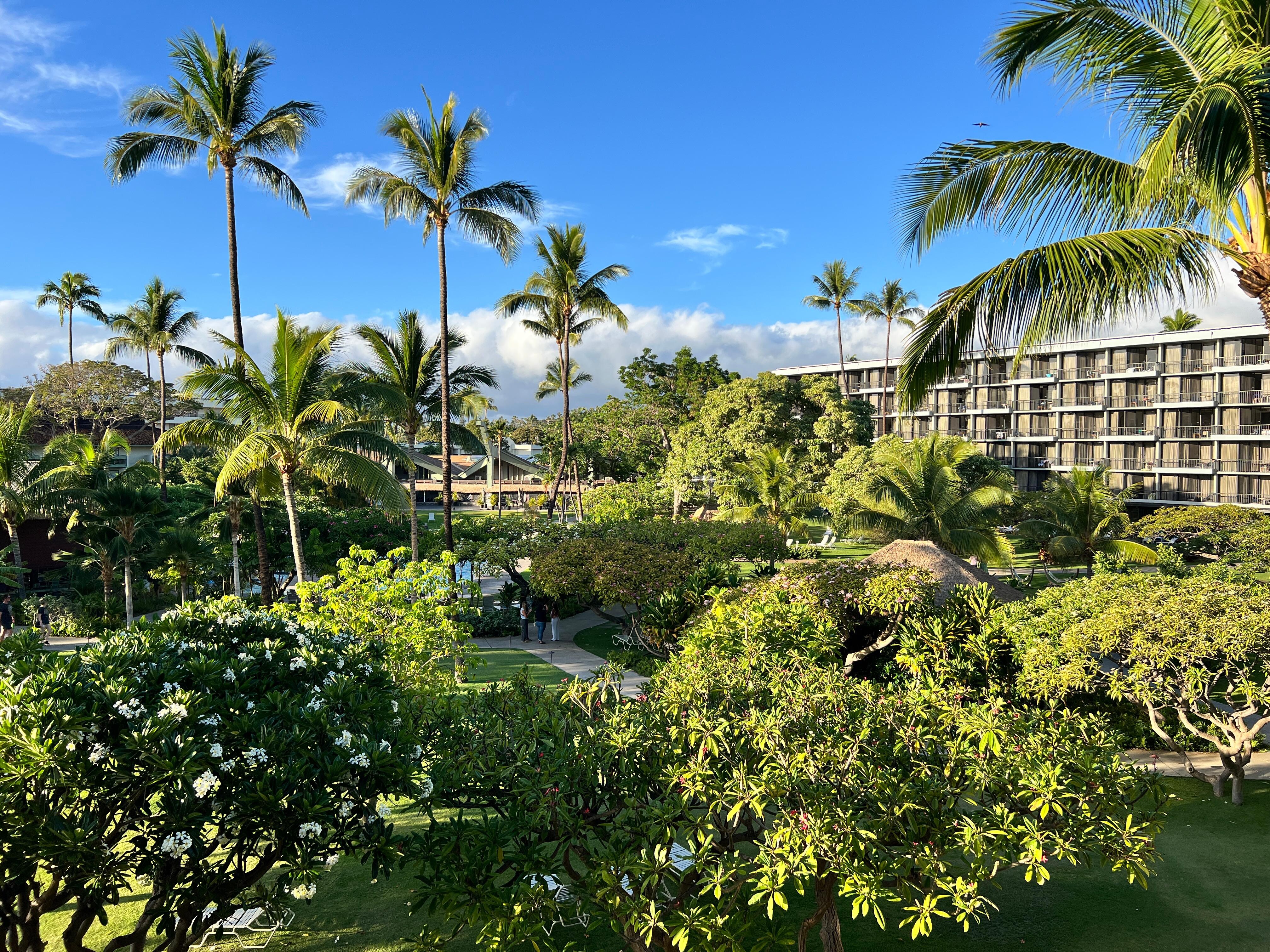 View from room