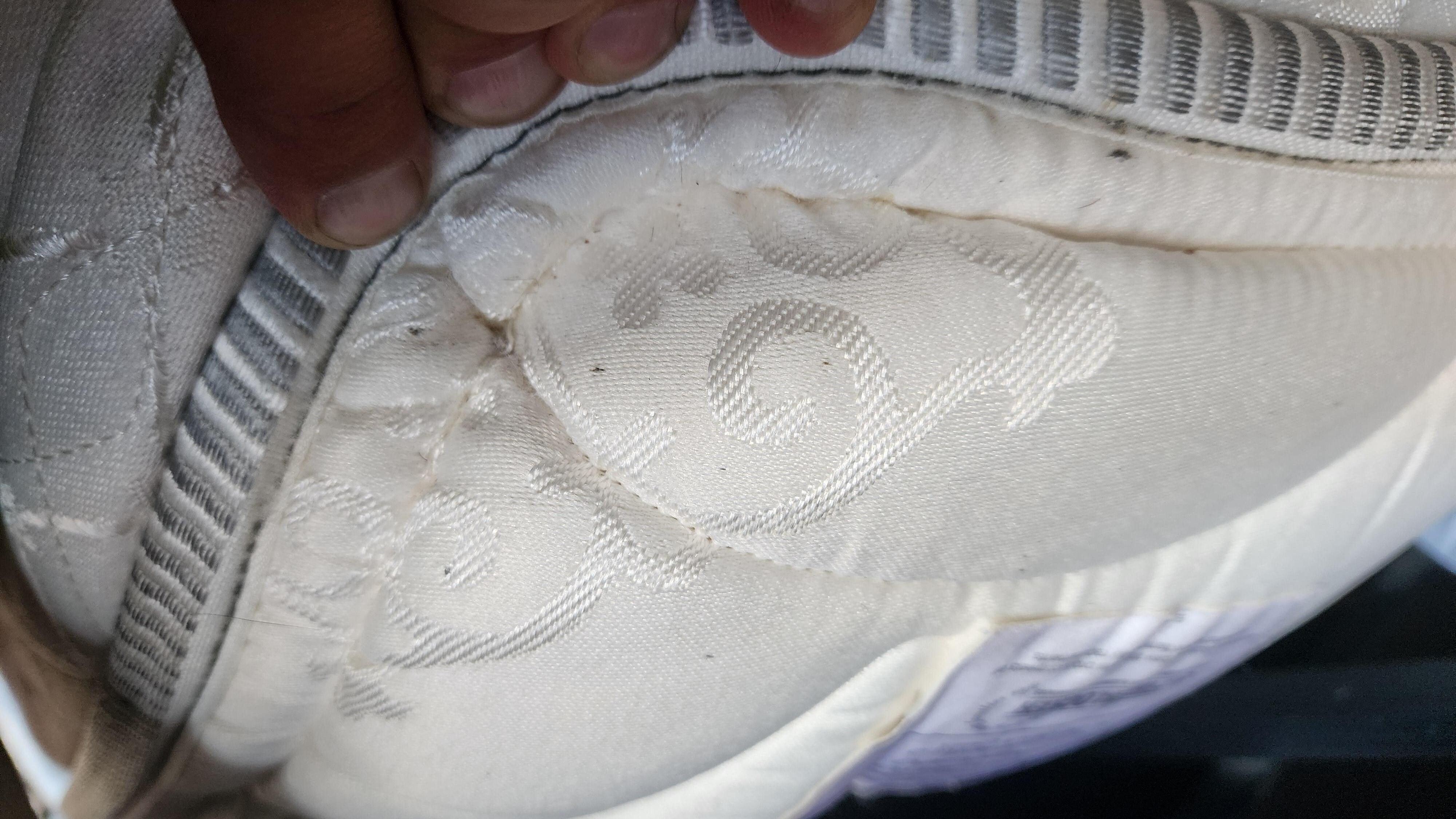 Signs of bed bugs/feces/residue