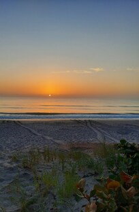 Sunrise with some turtle tracks