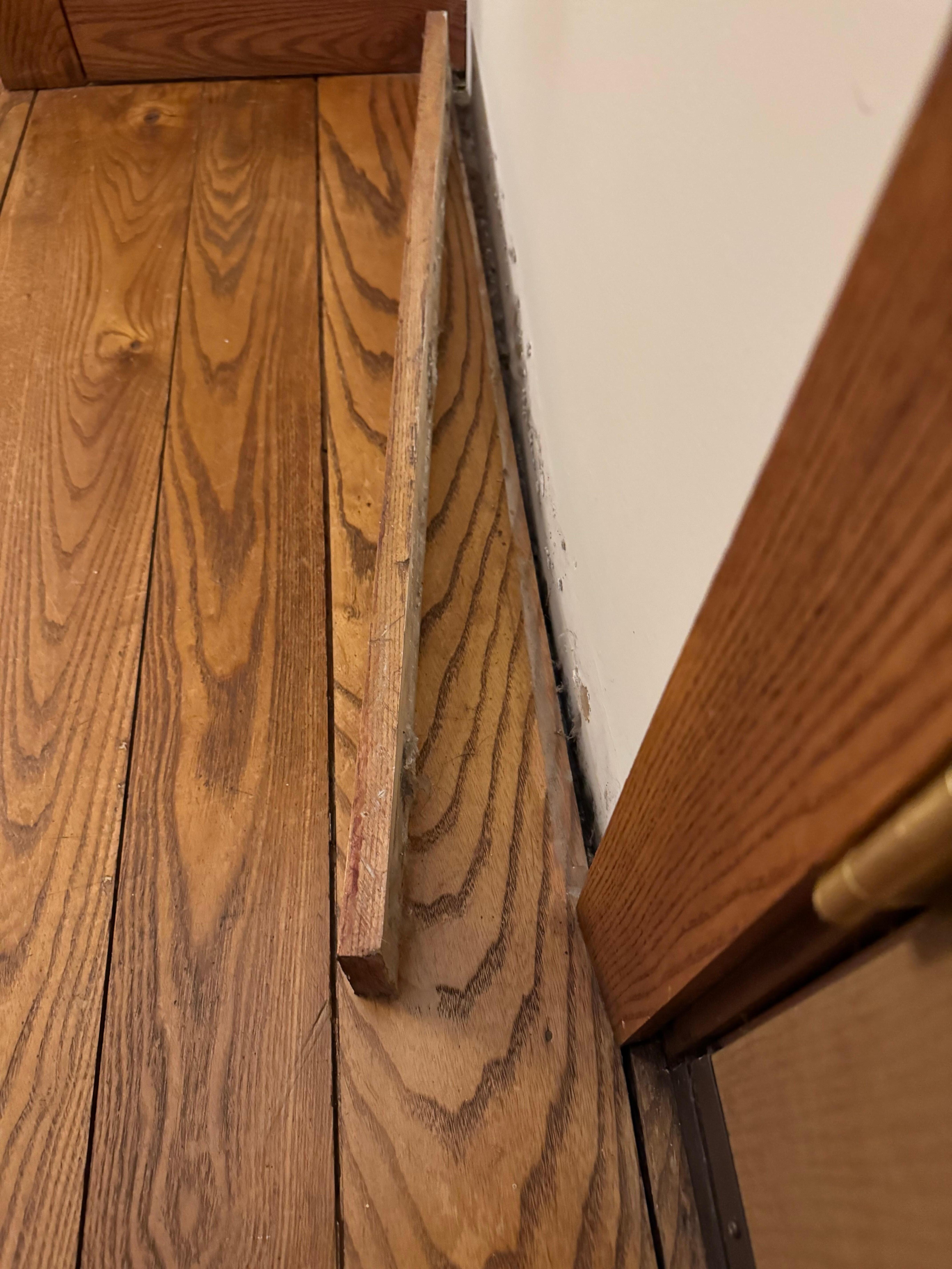Nail heads protruding from hardwood floors 