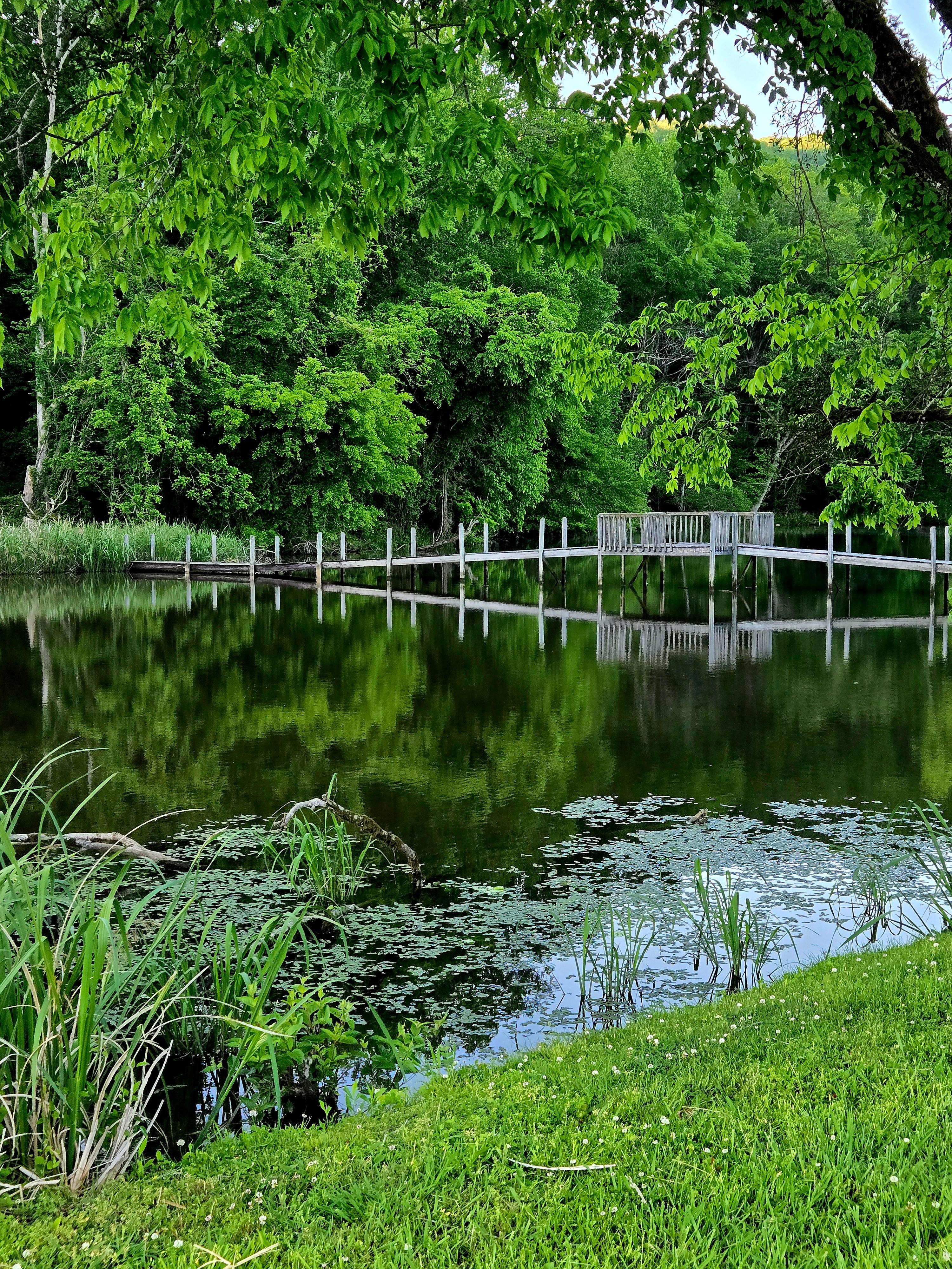 Someone's personal bridge to property next to dock. 