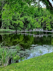 Someone's personal bridge to property next to dock.
