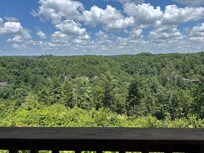 View from the back deck