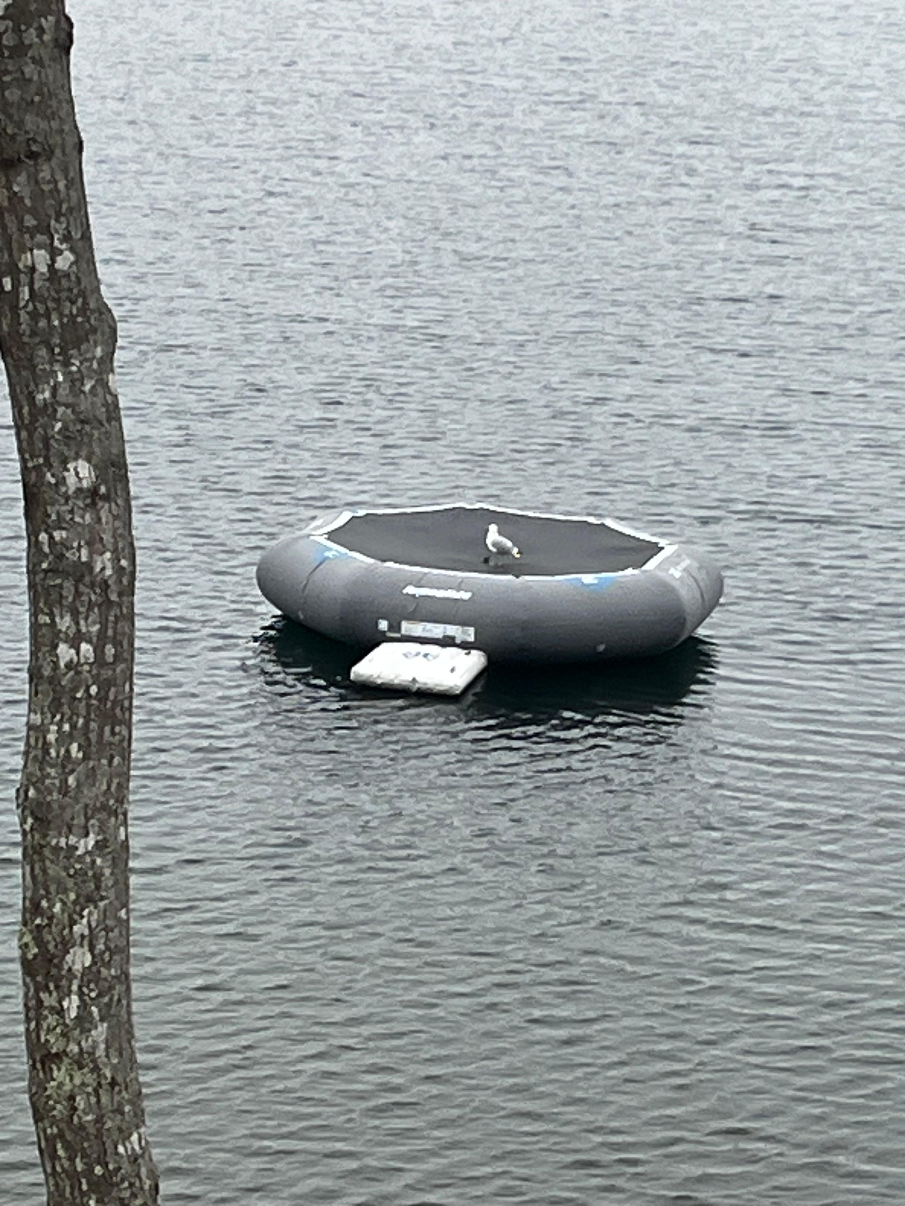 Floating trampoline on the pond 