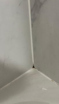 Shower mold on back corner. The floor sagged in the TV area + when you step out of the shower. Probably old water damage that was improperly fixed.