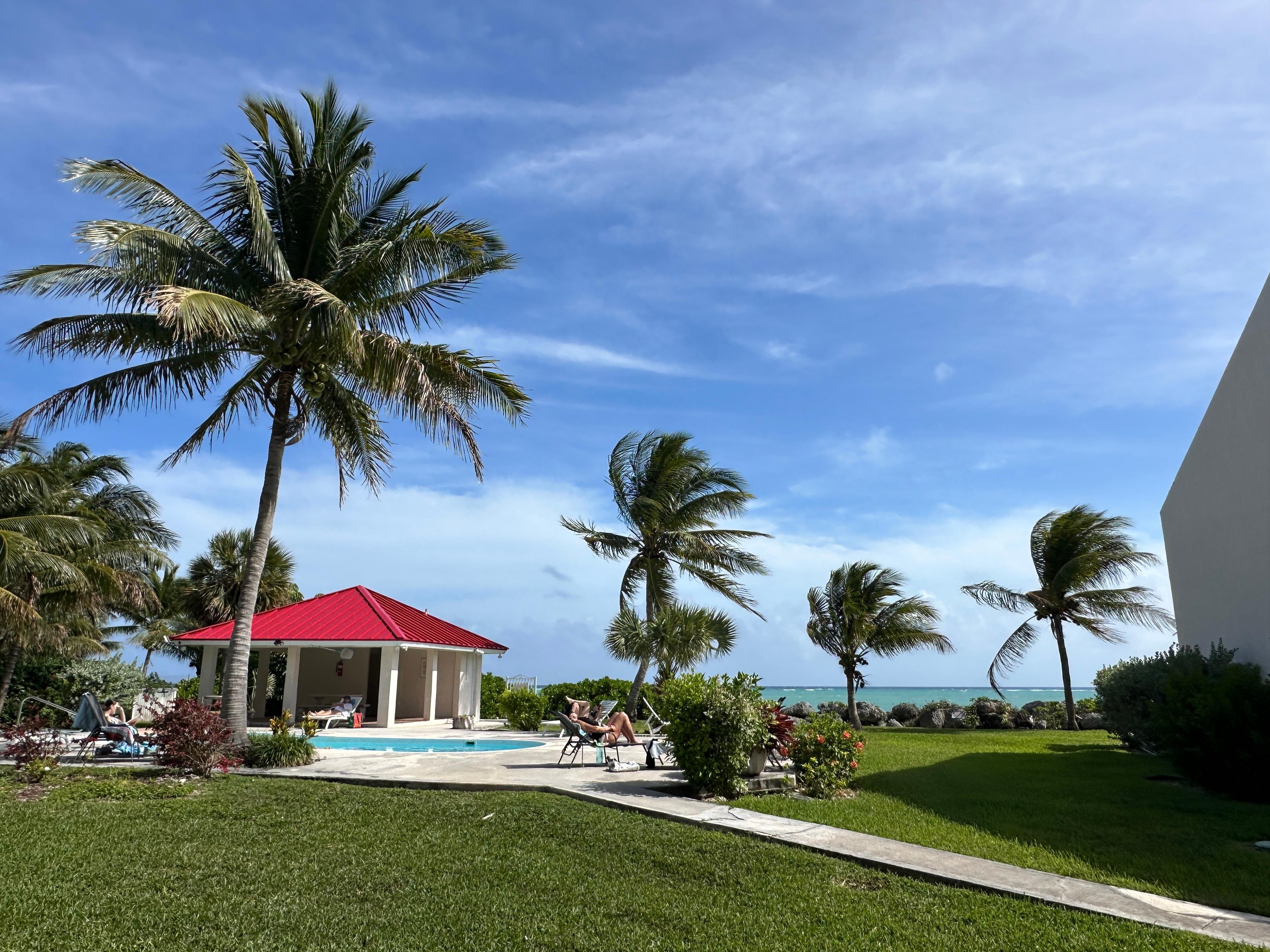 Blick von der Terrasse 