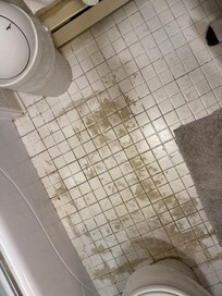 Floor in main bathroom - wouldnât take much to replace it - very small bathroom
