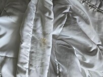 Stain on comforter
