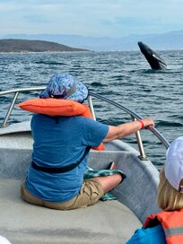 Great whale watching!