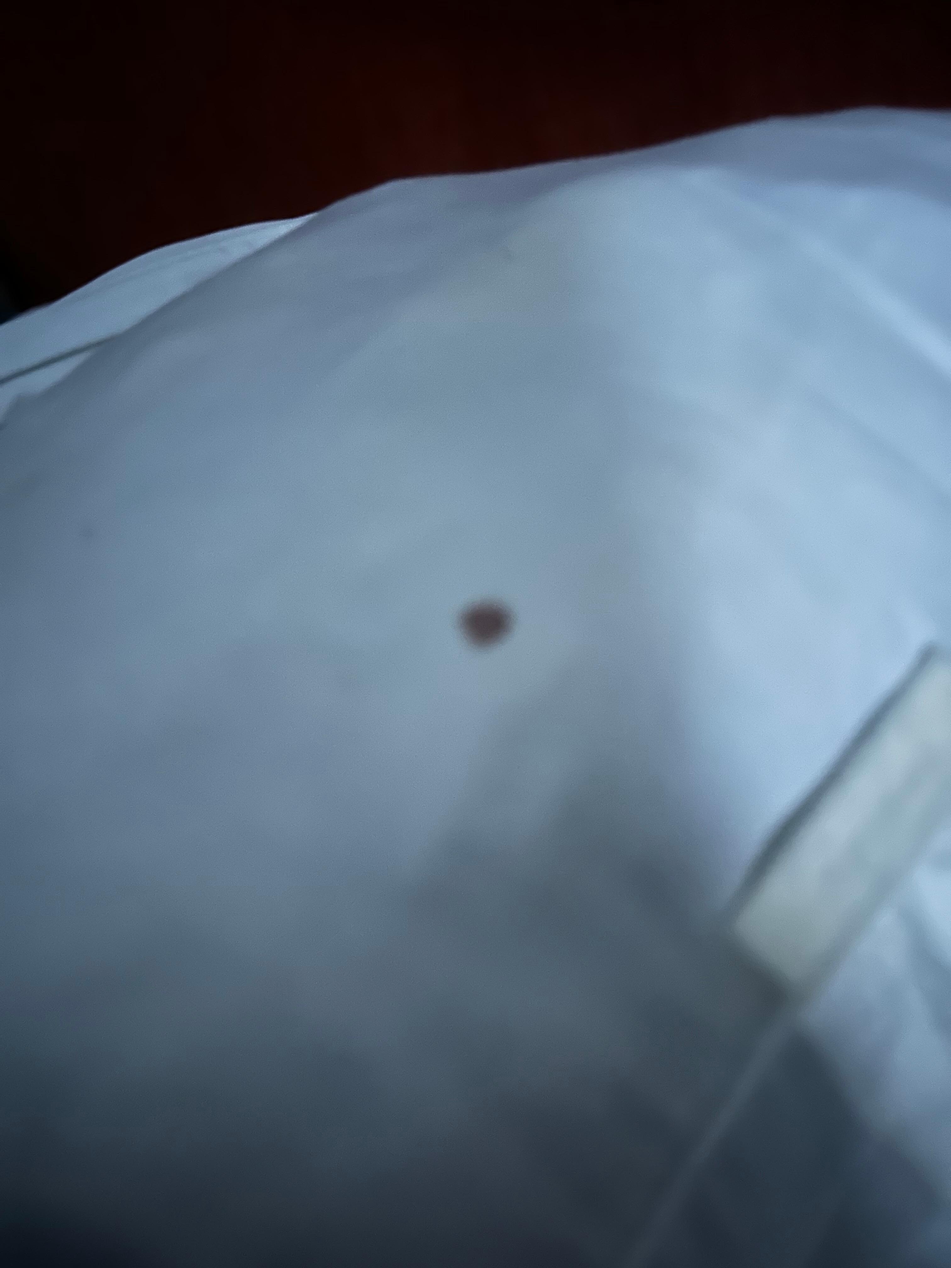 Blood 