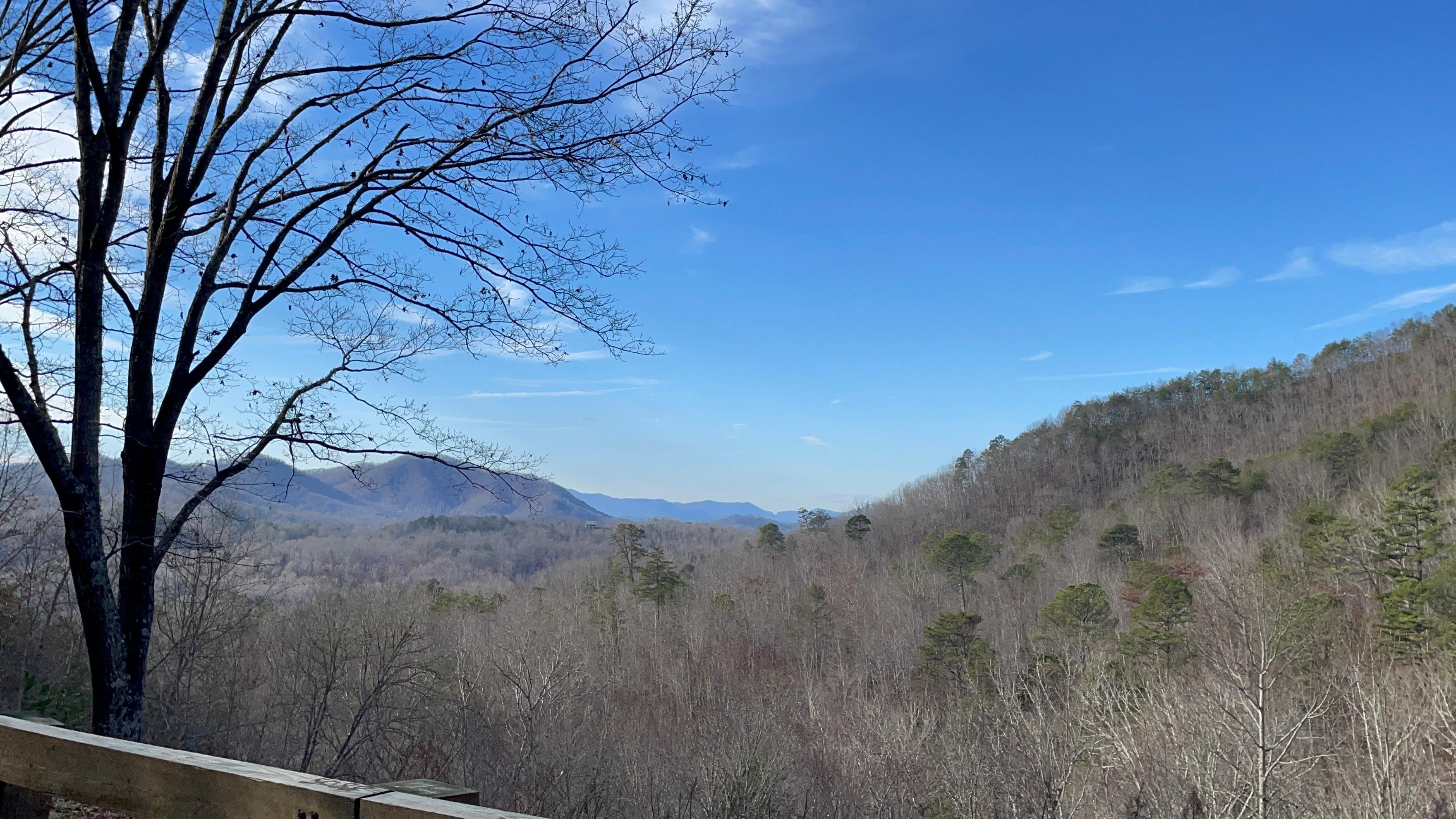 Road to “no -where” views