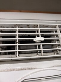 Mold inside AC unit