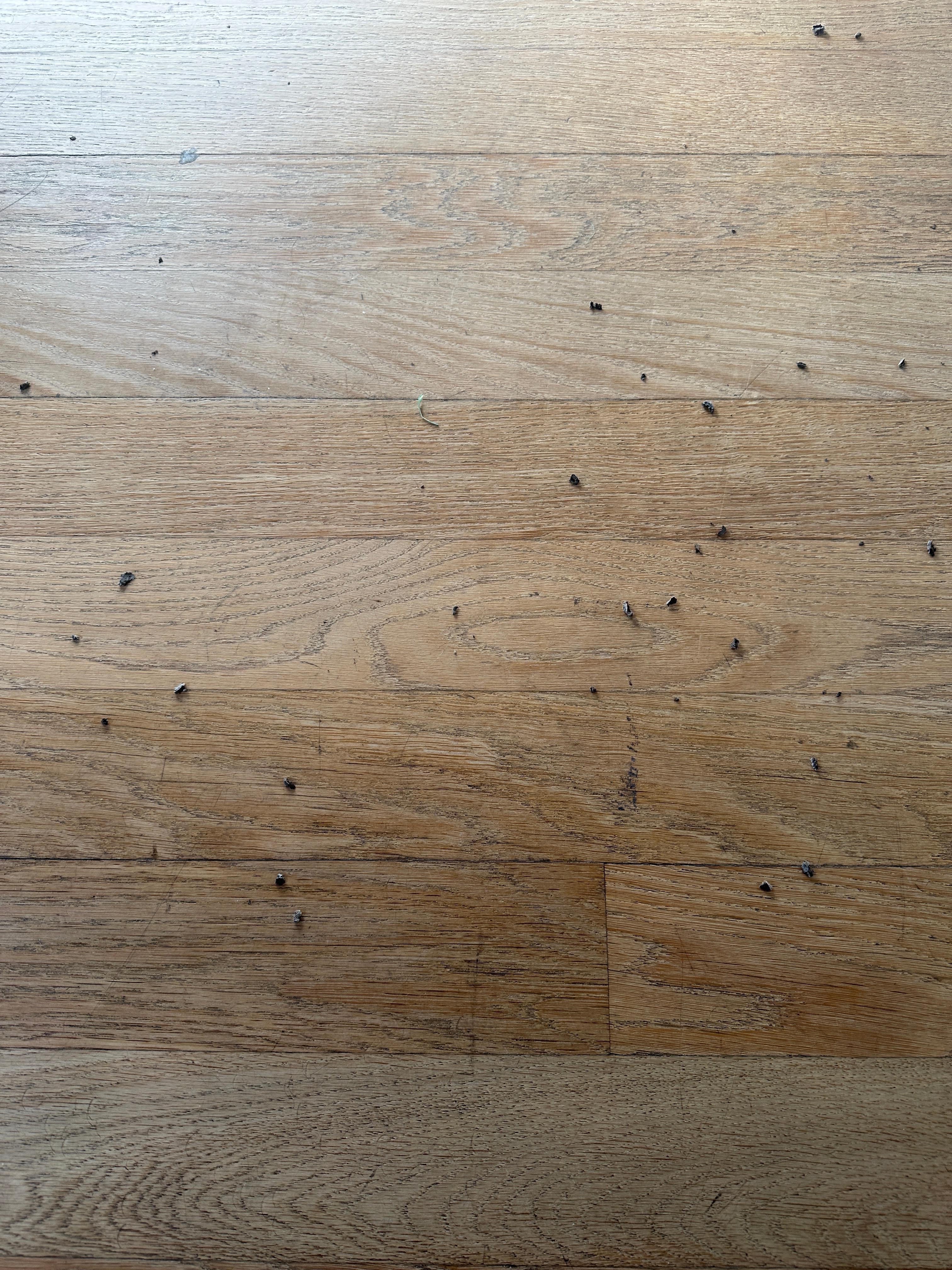 Bugs flew out of air-conditioning unit 