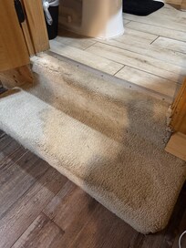 Stained, smelly carpets from toilet overflow.