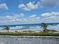 While enjoying your morning coffee