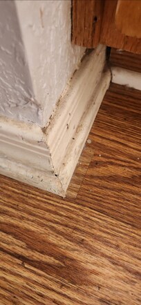 Corner in bath/vanity area - Accumulated dirt and black matter in crevices - Not worn paint!