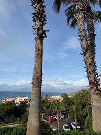 Beautiful view